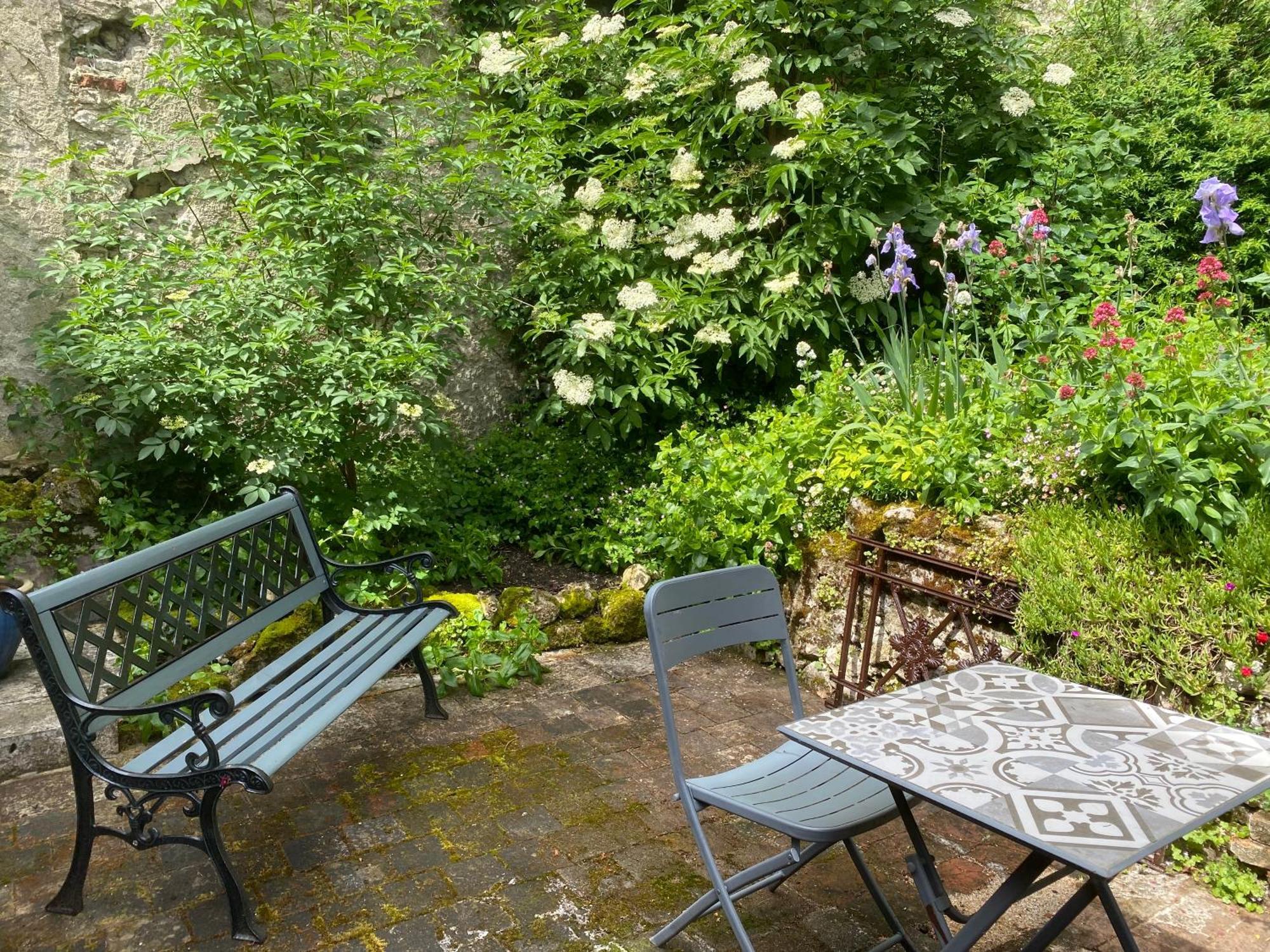 Chatel Rose - Historical Centre With Garden Blois Luaran gambar