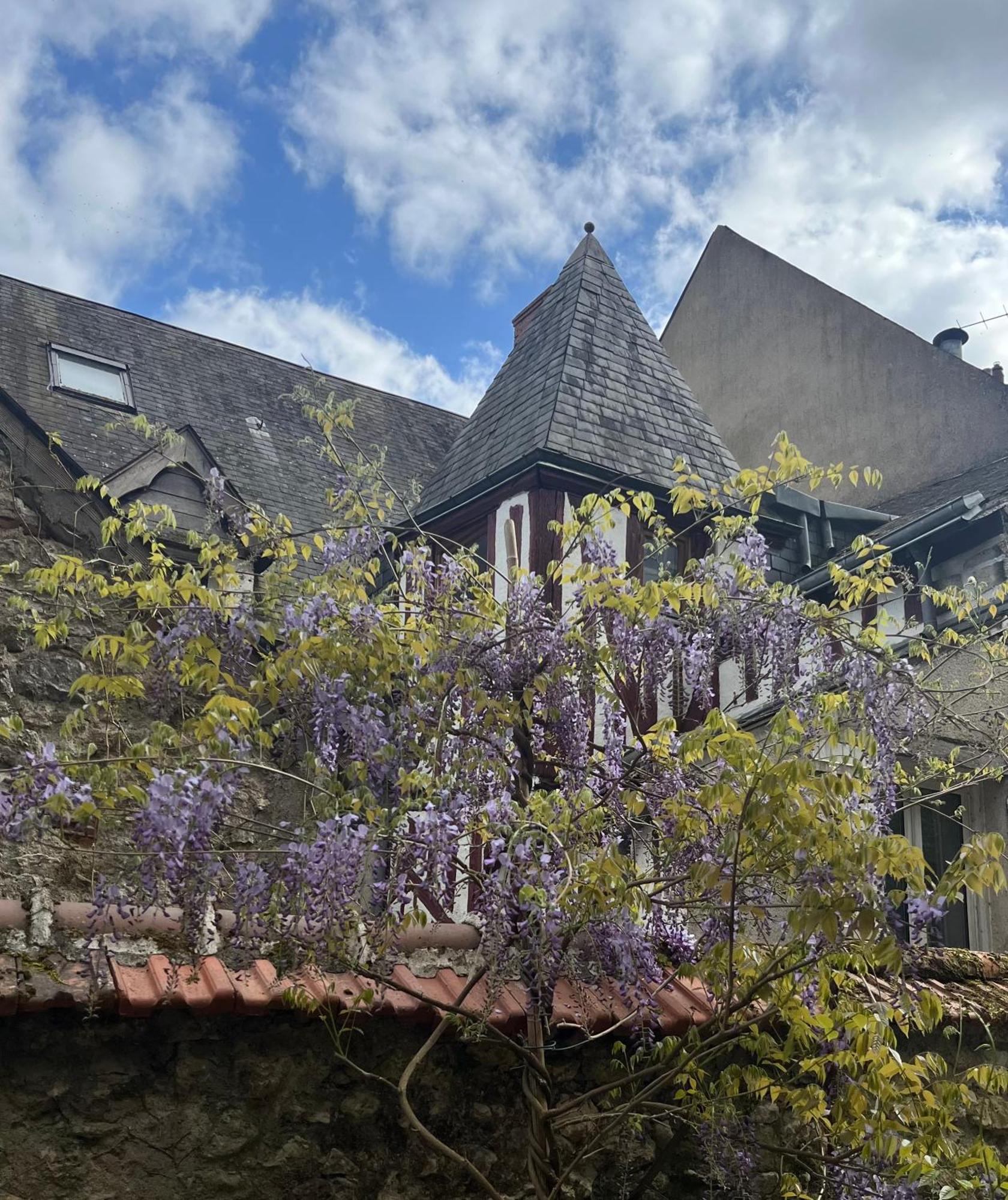 Chatel Rose - Historical Centre With Garden Blois Luaran gambar